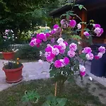 Live Nature Bihać