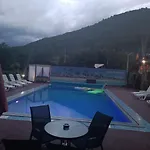 Live Nature