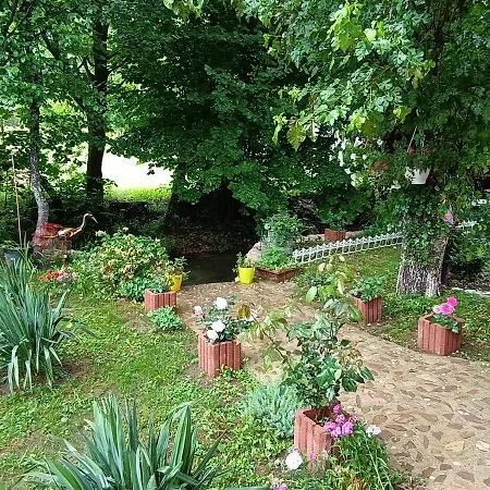 Live Nature Bihać