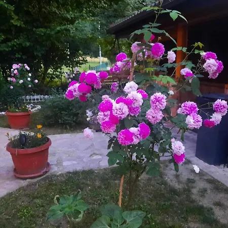 Live Nature Bihać