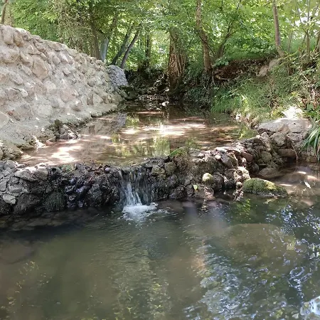Live Nature *